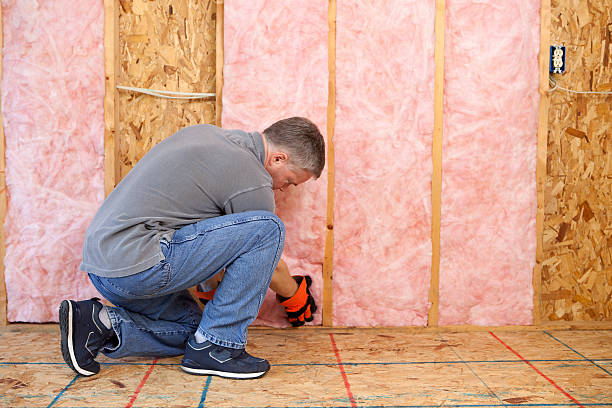 Best Insulation Installation Services in Basehor, KS