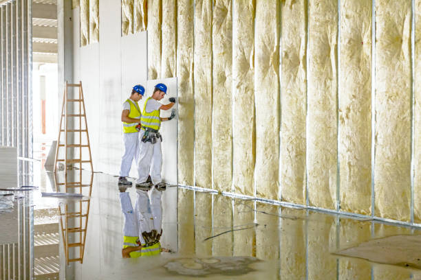 Best Insulation Maintenance and Repair in Basehor, KS